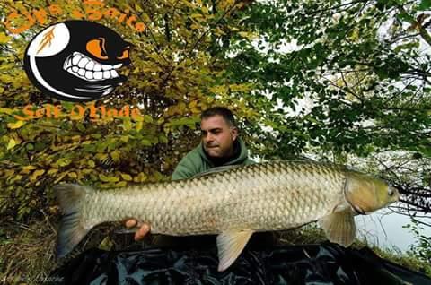 Carpfishing la modul meu 2015 - fbimg1452777221866.jpg